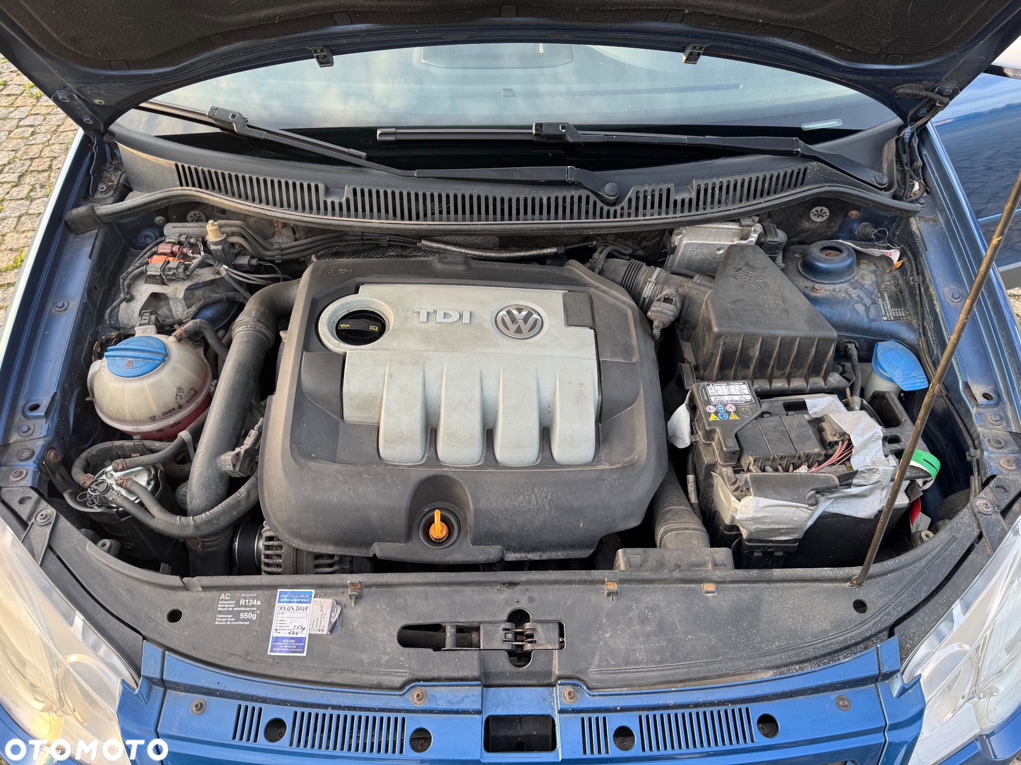 Volkswagen Polo - 19