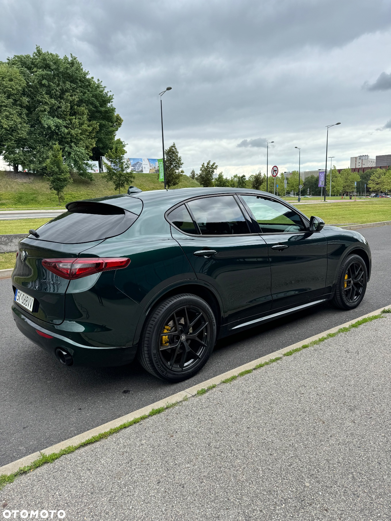 Alfa Romeo Stelvio 2.0 Turbo Veloce Q4 - 6