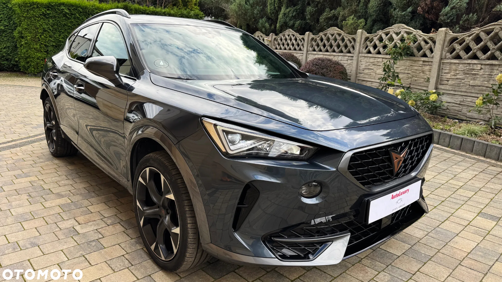 Cupra Formentor 2.0 TSI 4Drive DSG - 23