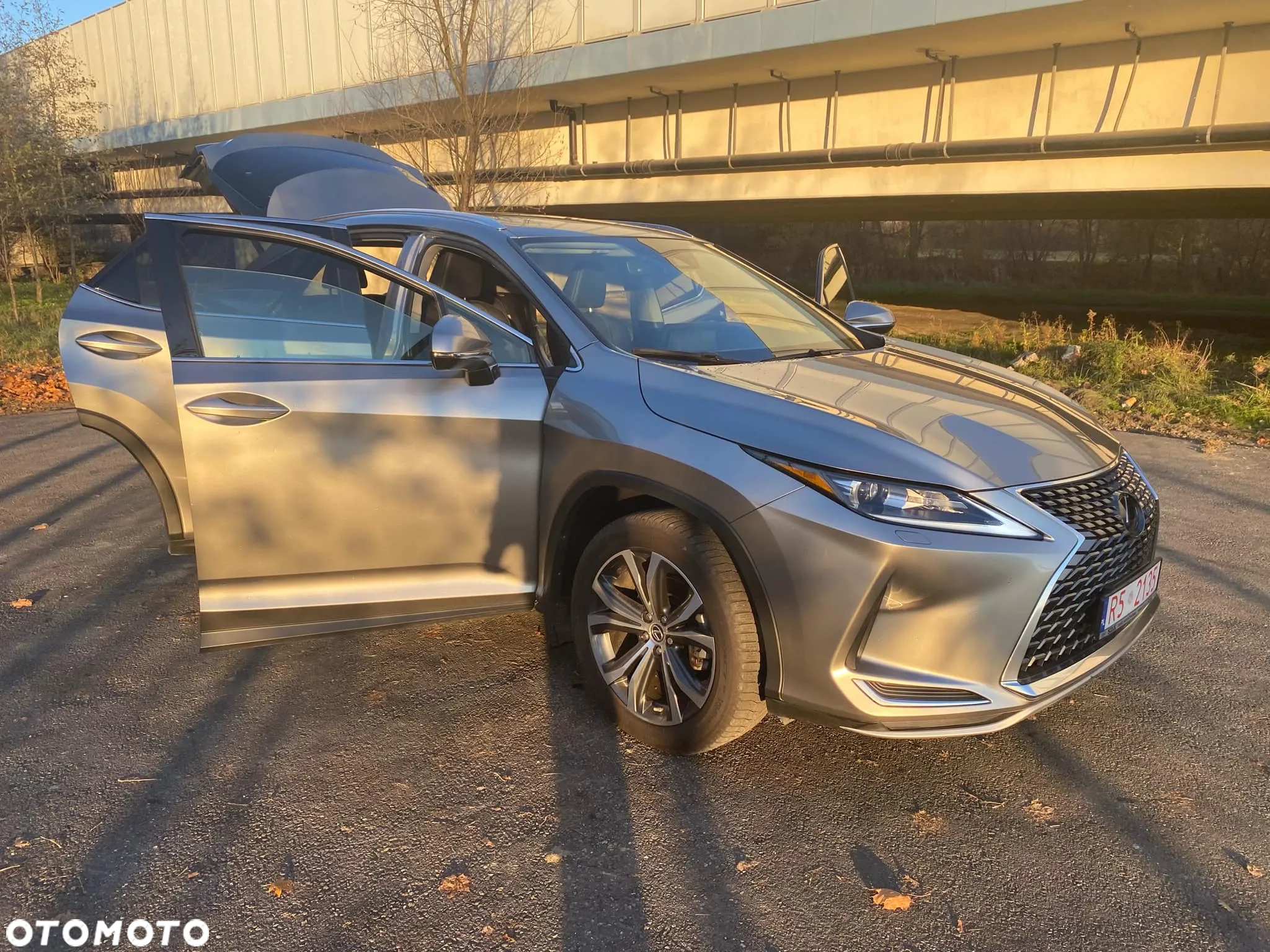Lexus RX - 9
