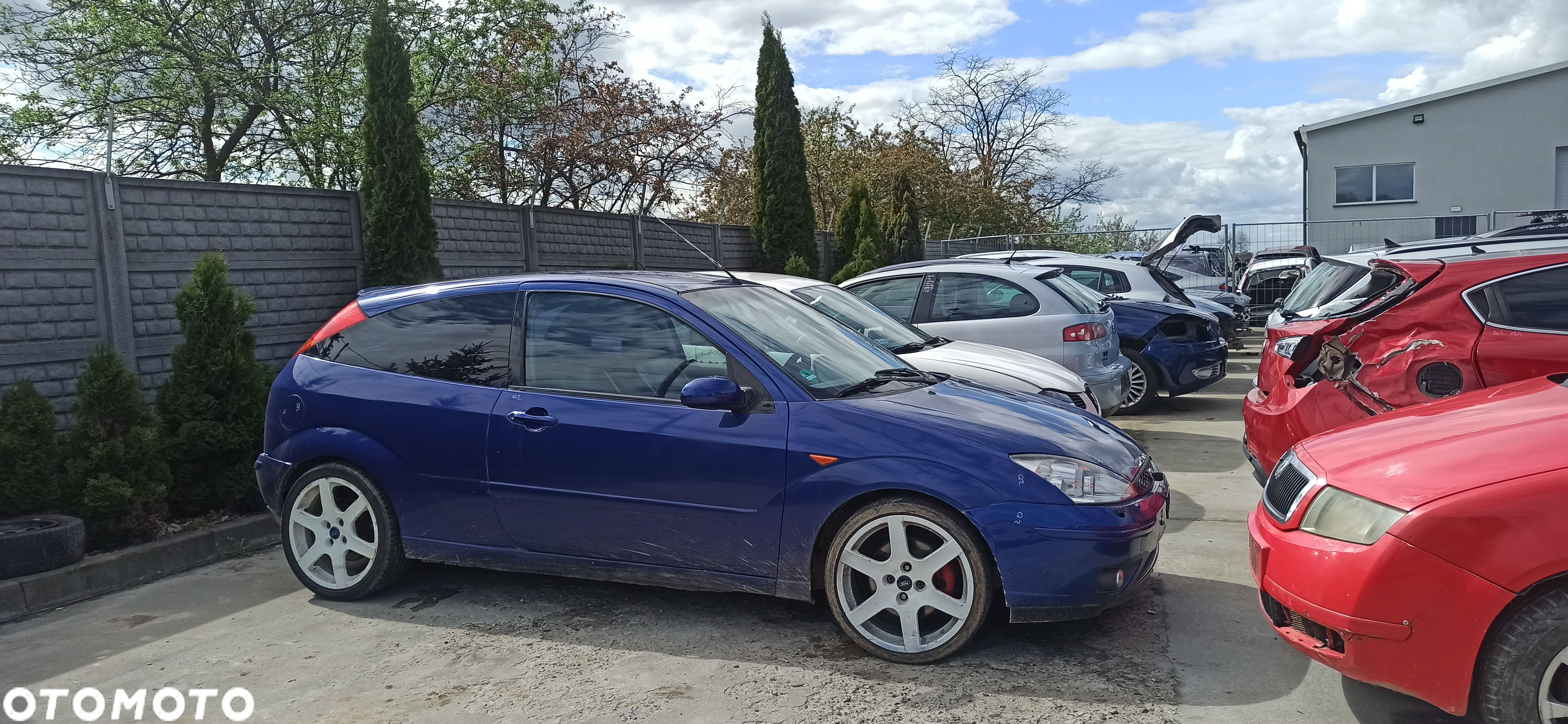 Ford Focus mk1 ST170 silnik 2,0 16V - 1