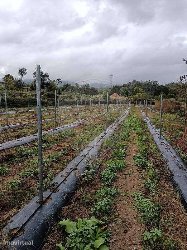 Terreno  para venda - Grande imagem: 5/12
