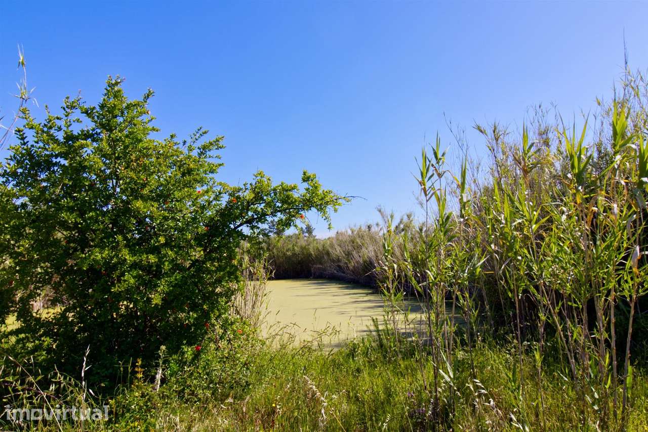 Quinta - Grande imagem: 2/12