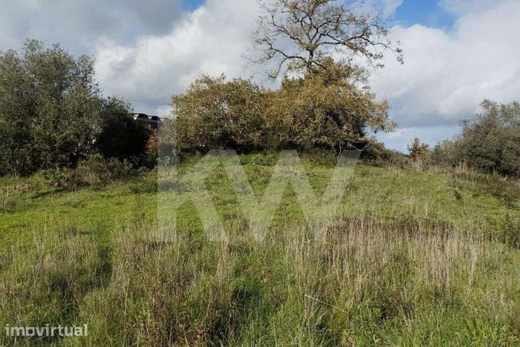 8.680 m2 TERRENO EM PORTO MÓS  . VENDE-SE - Grande imagem: 4/17