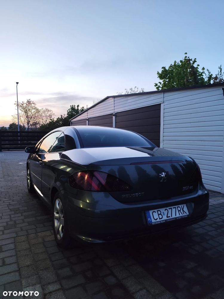 Peugeot 307 110 Tendance - 3