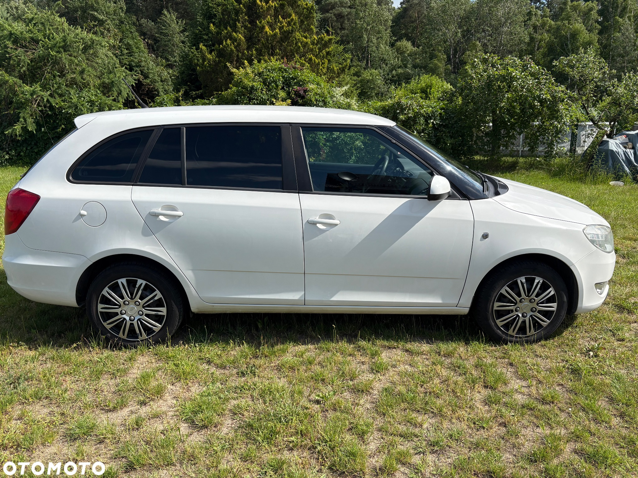 Skoda Fabia - 3