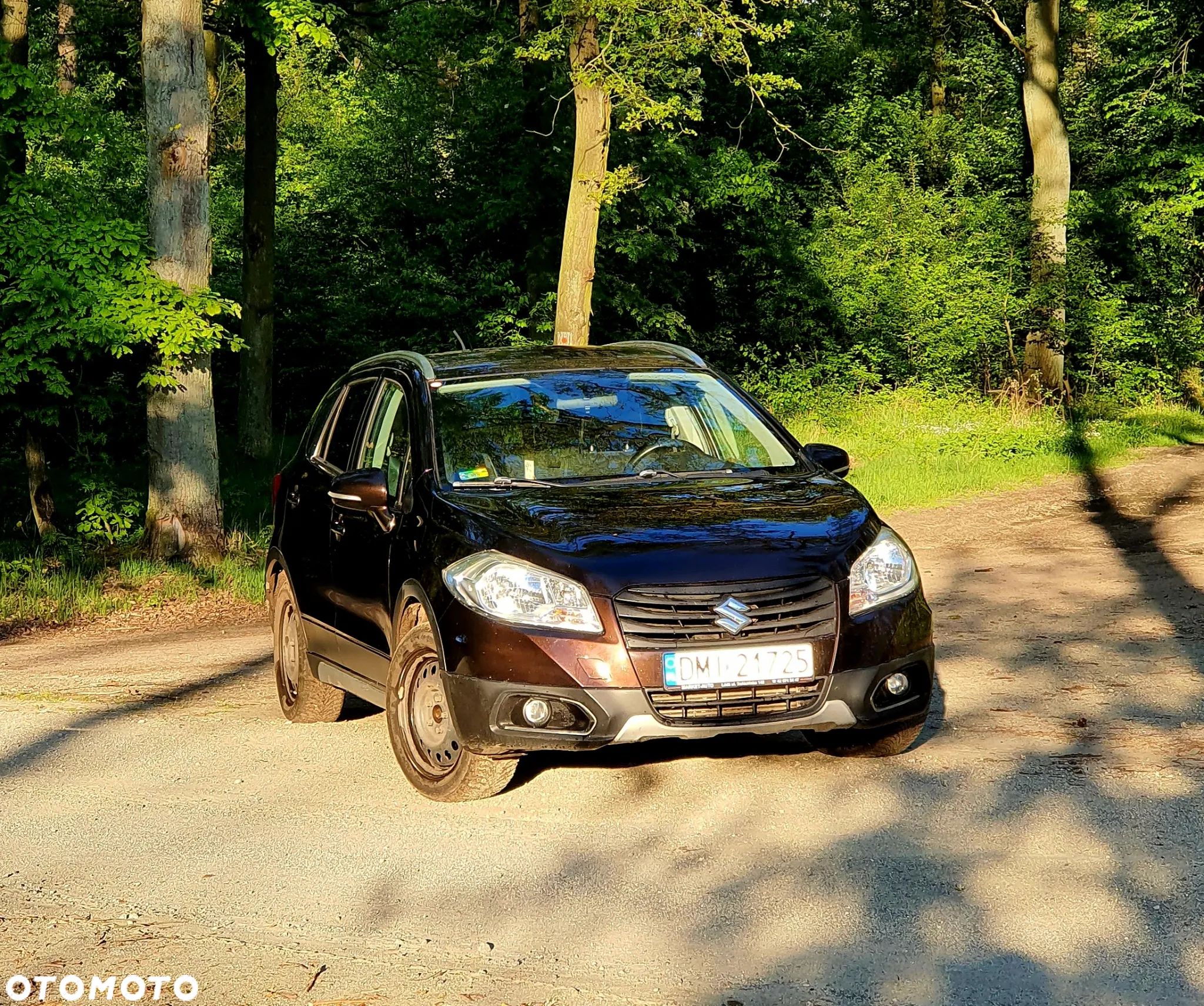 Suzuki SX4 S-Cross 1.6 DDiS Premium 4WD - 1