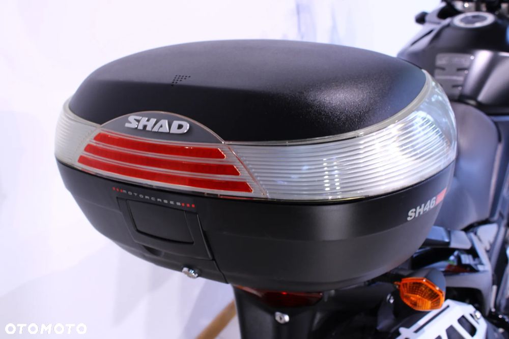 Suzuki DL - 31