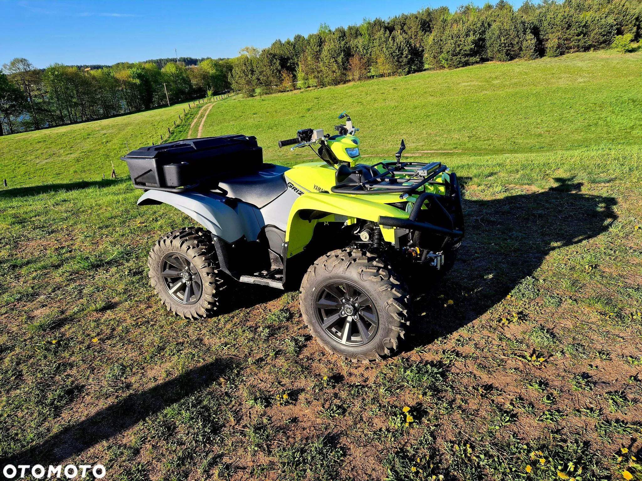 Yamaha Grizzly