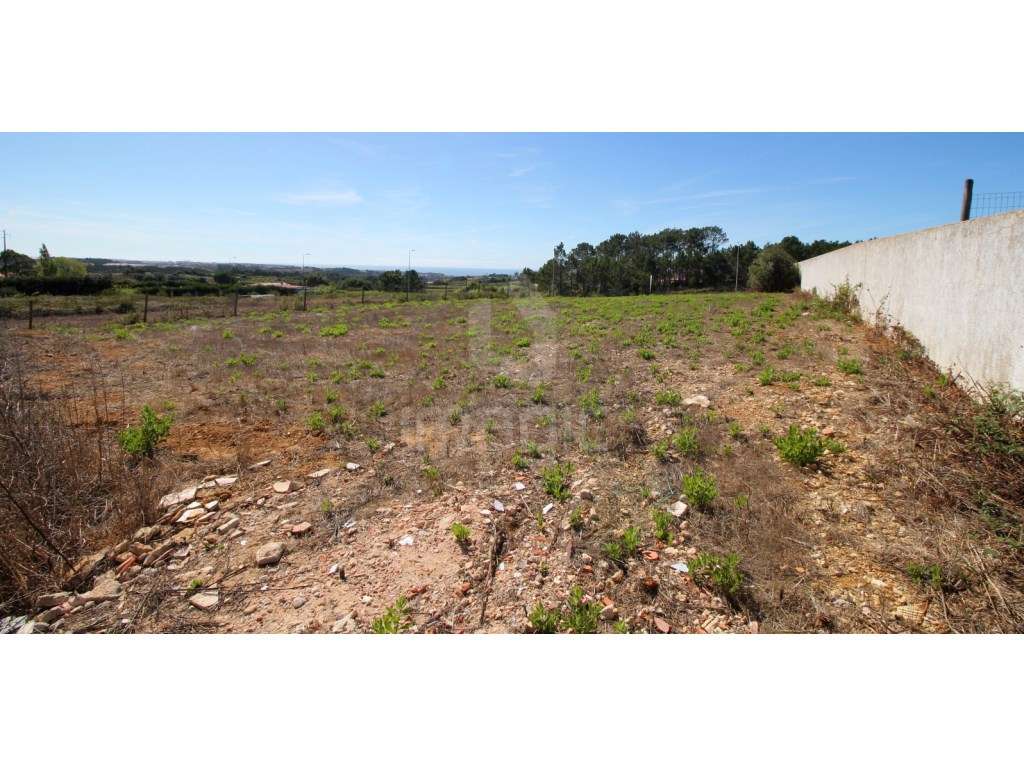 TERRENO na ZONA do SOBREIRO MAFRA - Grande imagem: 5/5