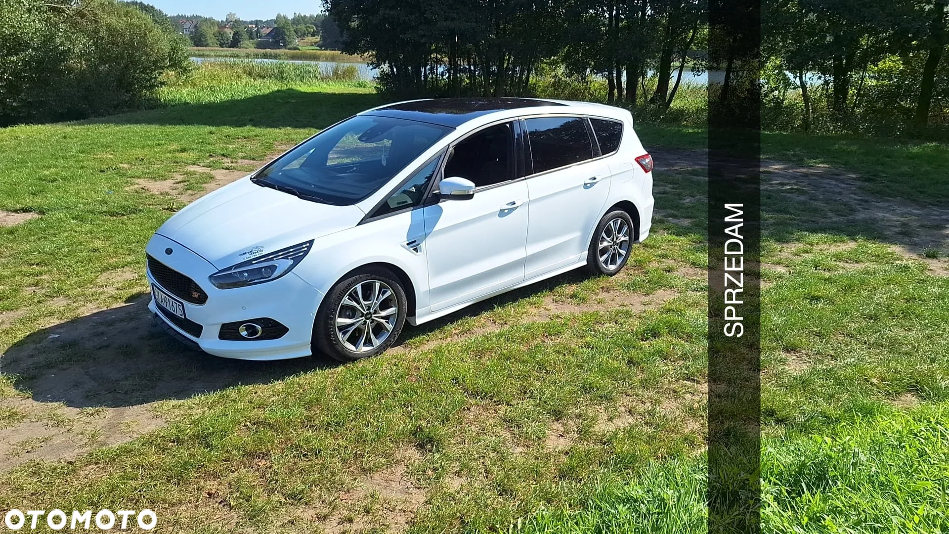 Ford S-Max 2.0 EcoBlue ST-Line - 2