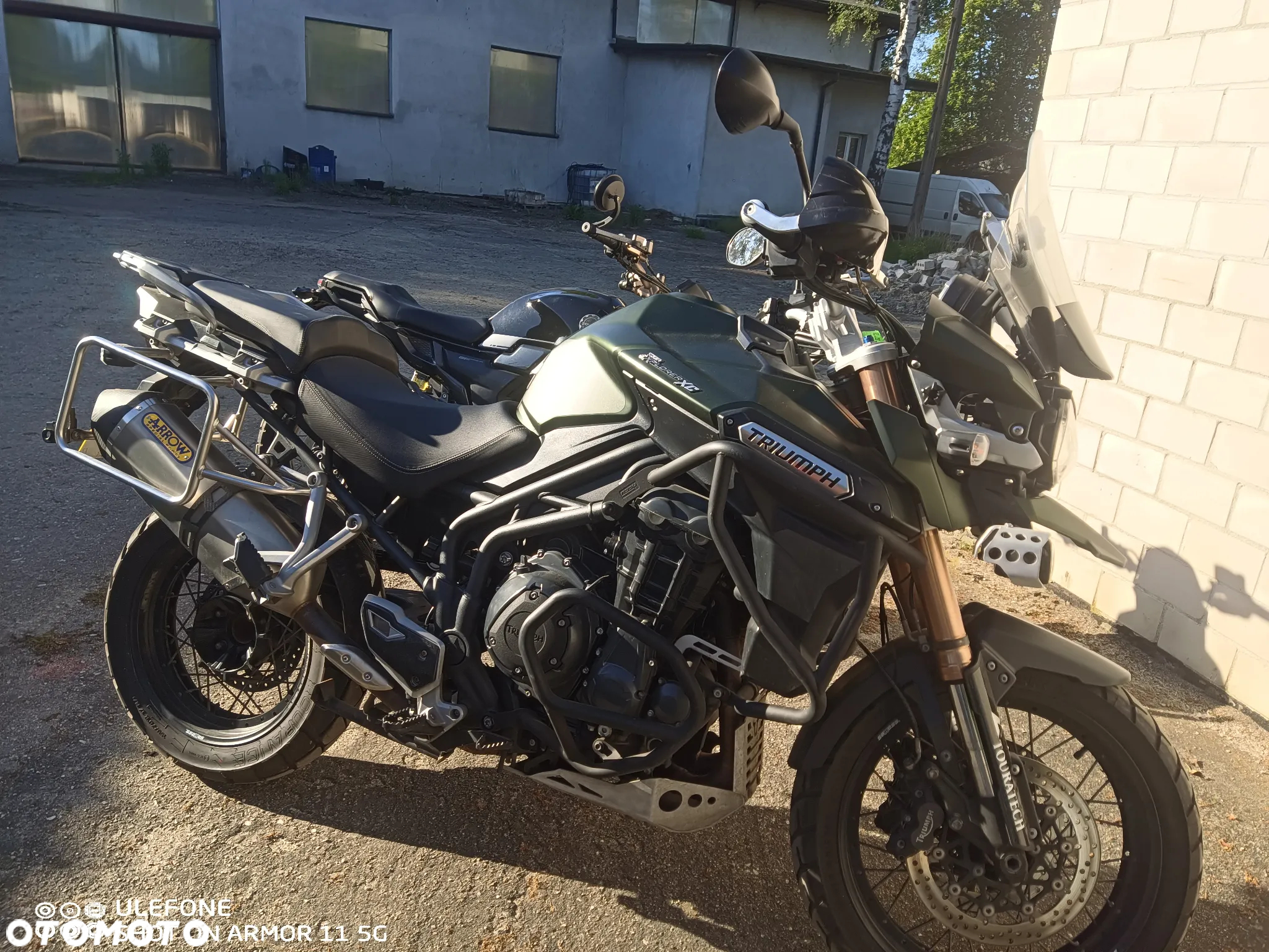 Triumph Tiger