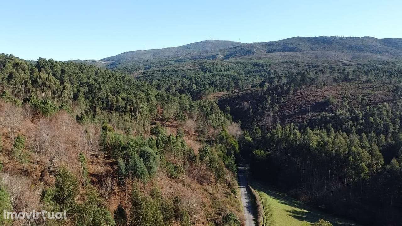 Terreno  Venda em Pinheiro,Vieira do Minho - Grande imagem: 3/20