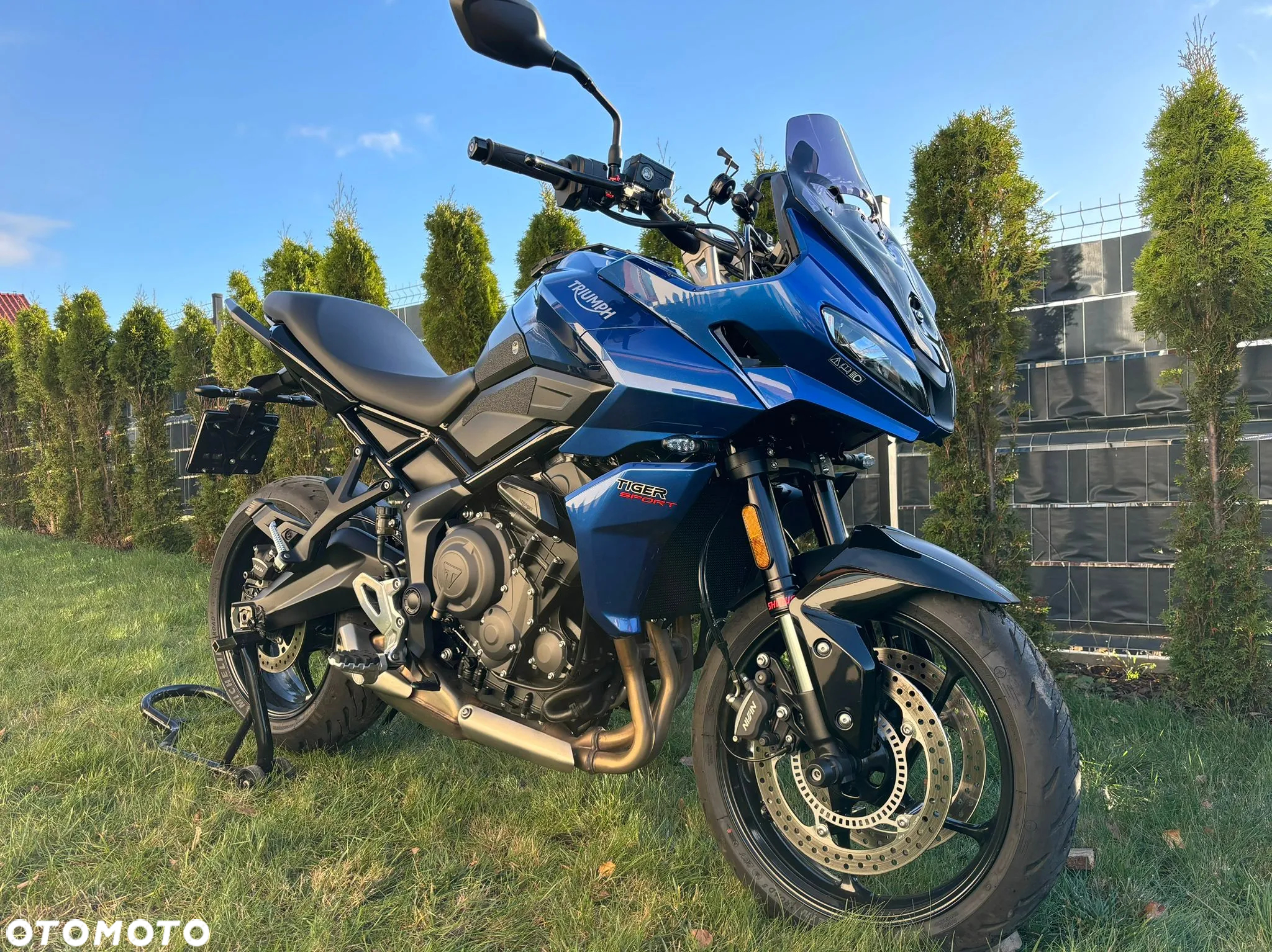 Triumph Tiger - 6
