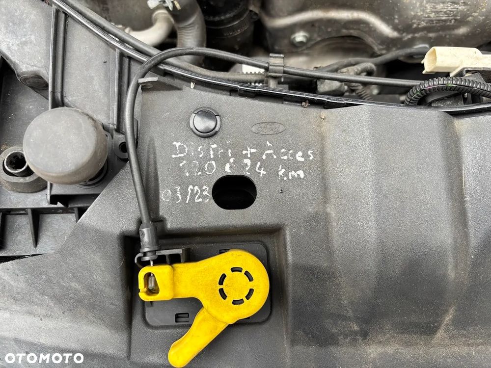 Ford Focus 2014 photo 4
