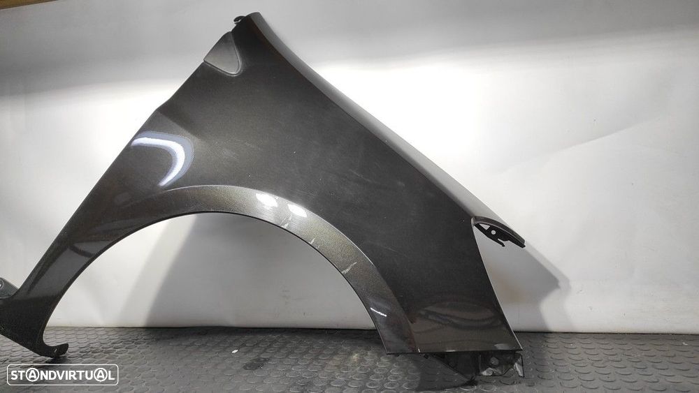 GUARDA-LAMAS FRENTE DIREITO RENAULT CLIO III CONFORT DYNAMIQUE - 5