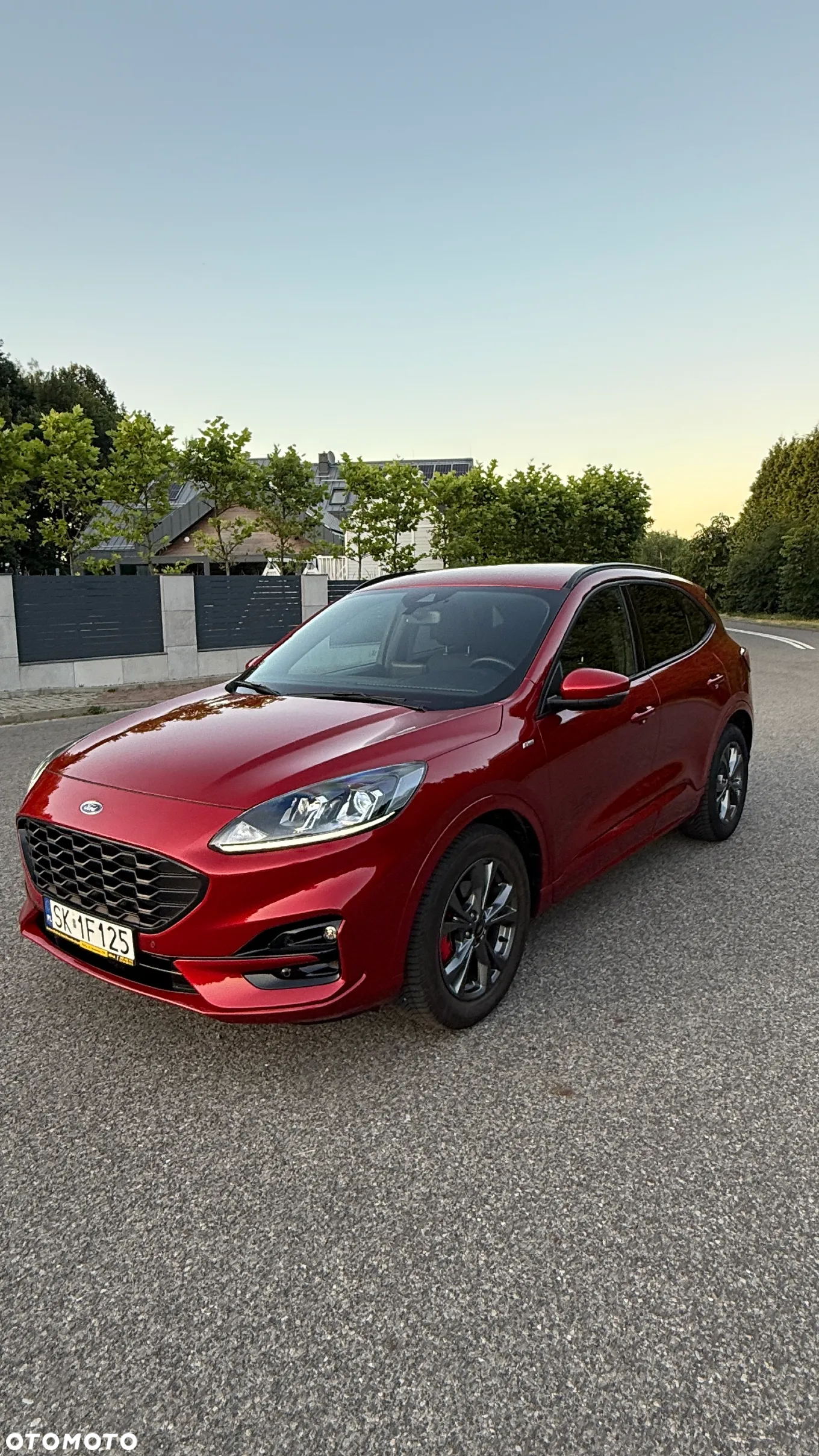 Ford Kuga 2.5 FHEV FWD ST-Line - 5