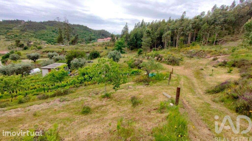 Quinta T5 em Ferreirós do Dão de 197 m2 - Grande imagem: 2/32
