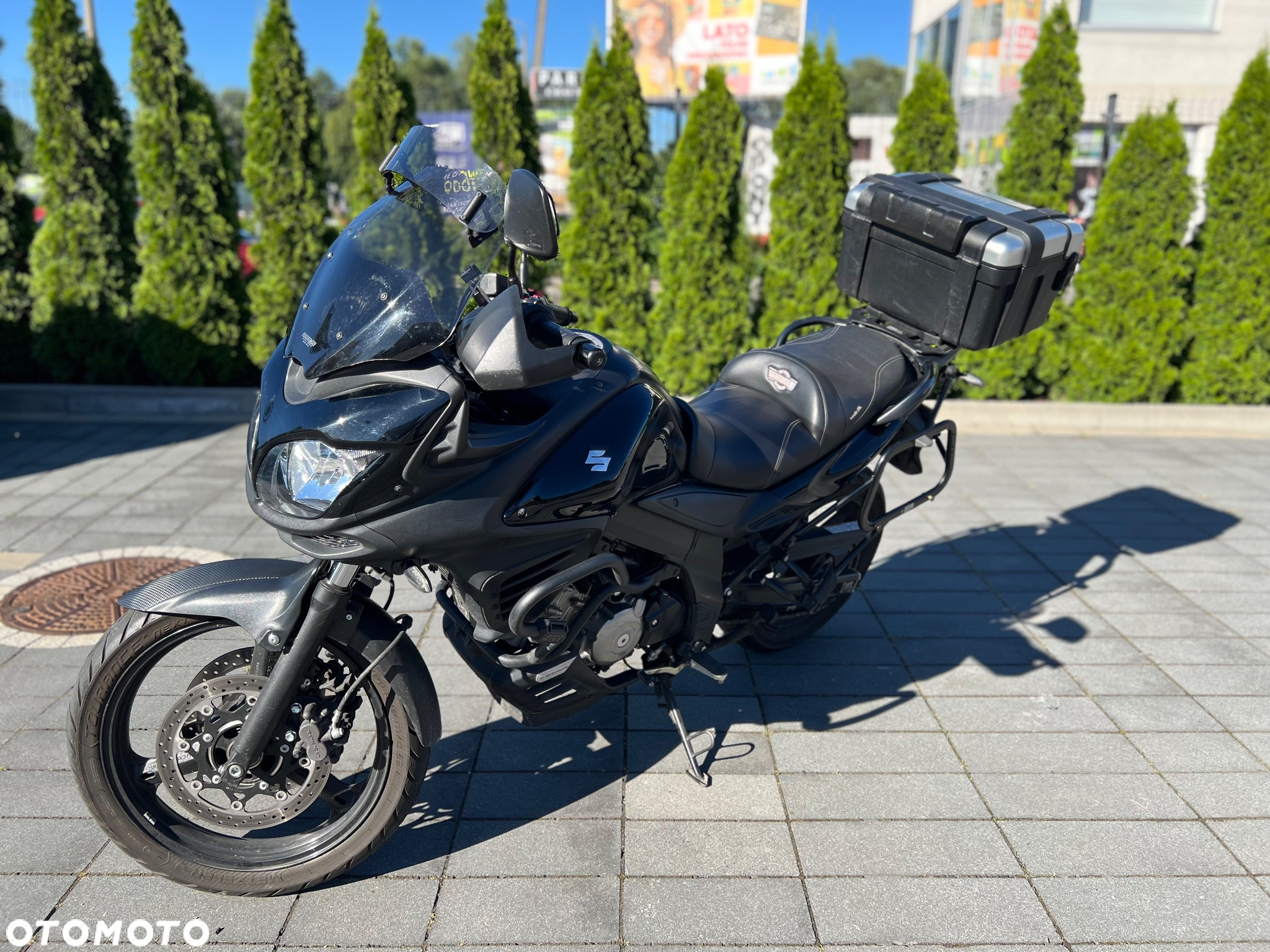 Suzuki V-STROM - 10