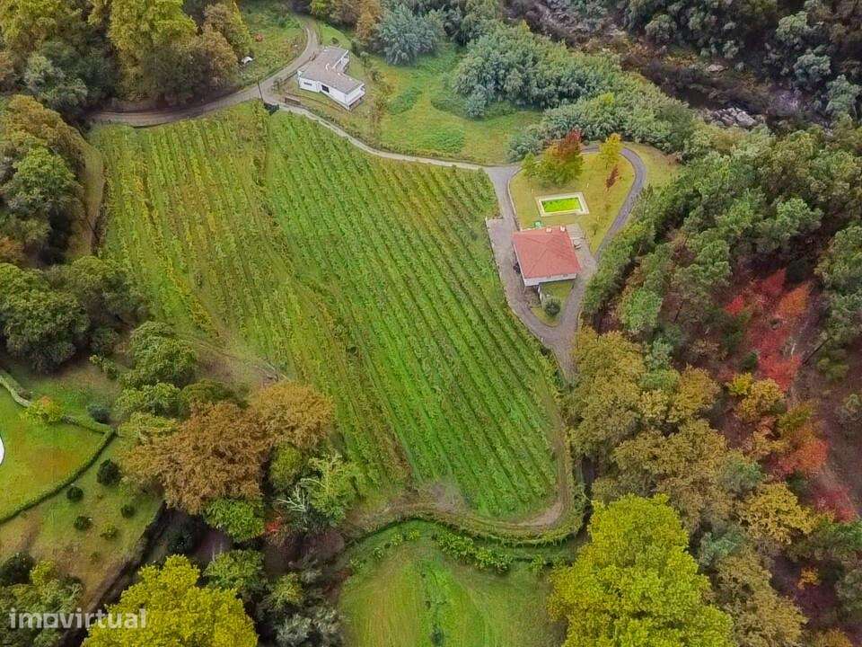 Venda Quinta do Adigueiro T3 + 1 - Grande imagem: 2/21