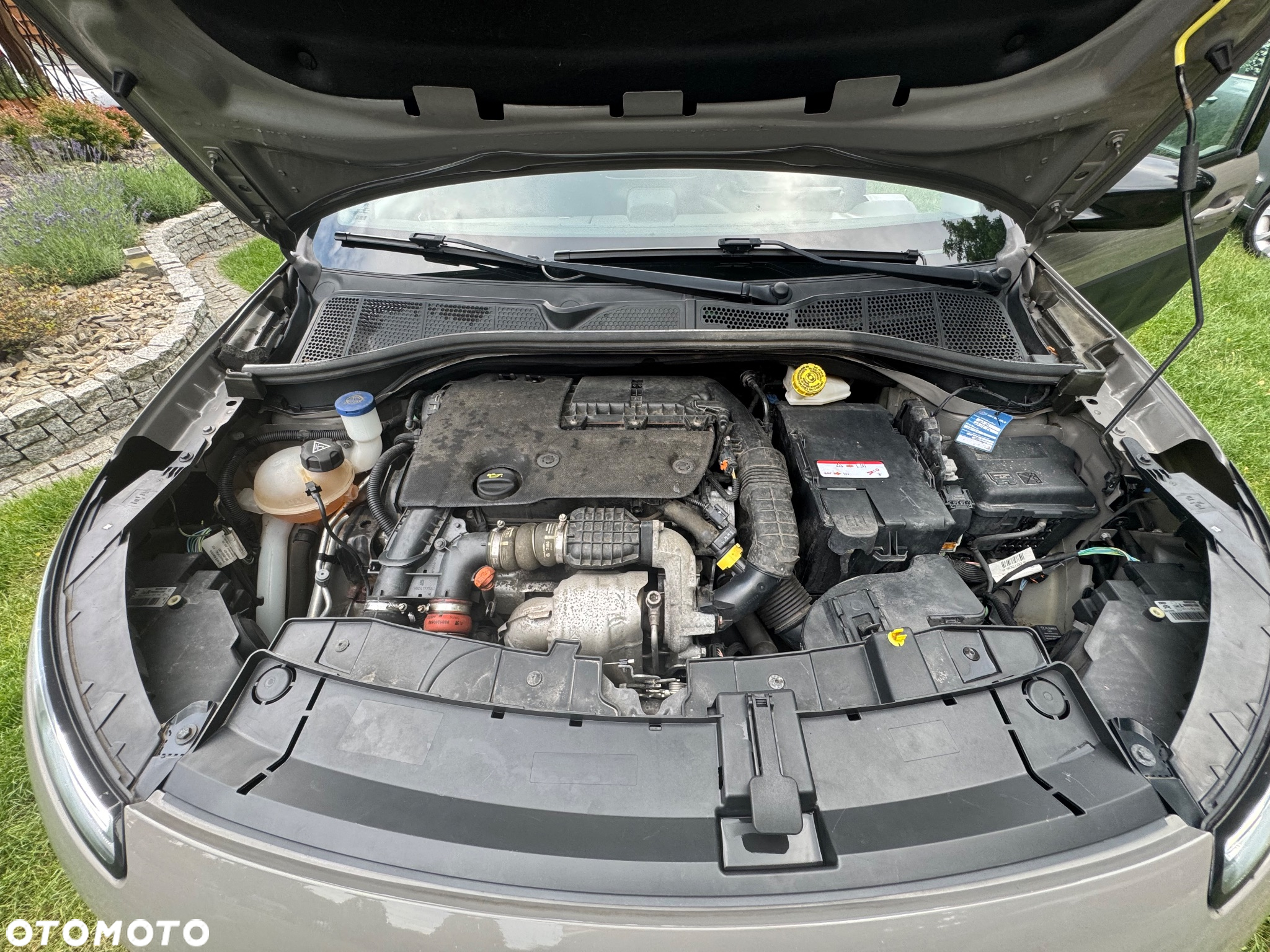Citroën C4 Cactus 1.6 Blue HDi Shine ETG - 34