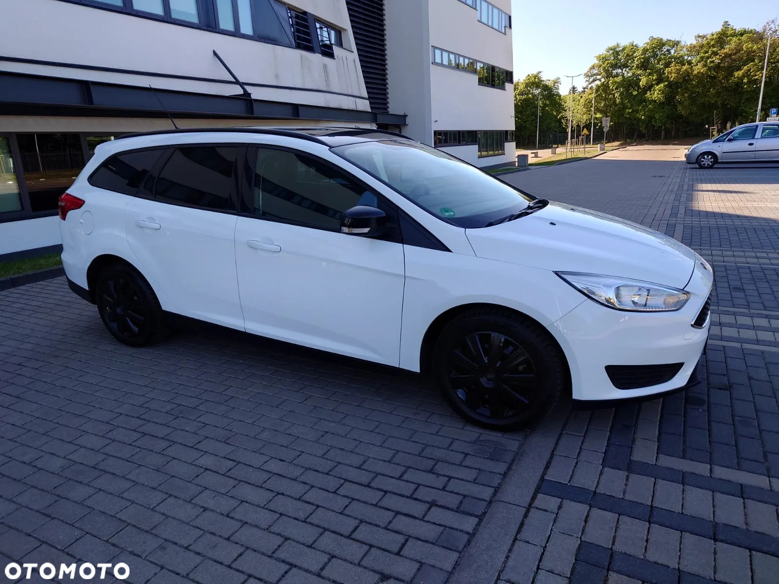 Ford Focus - 13