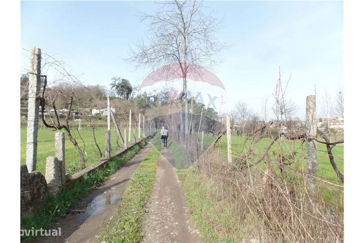 TERRENO FLORESTAL EM ZONA DE IMENSA TRANQUILIDADE - Grande imagem: 2/9