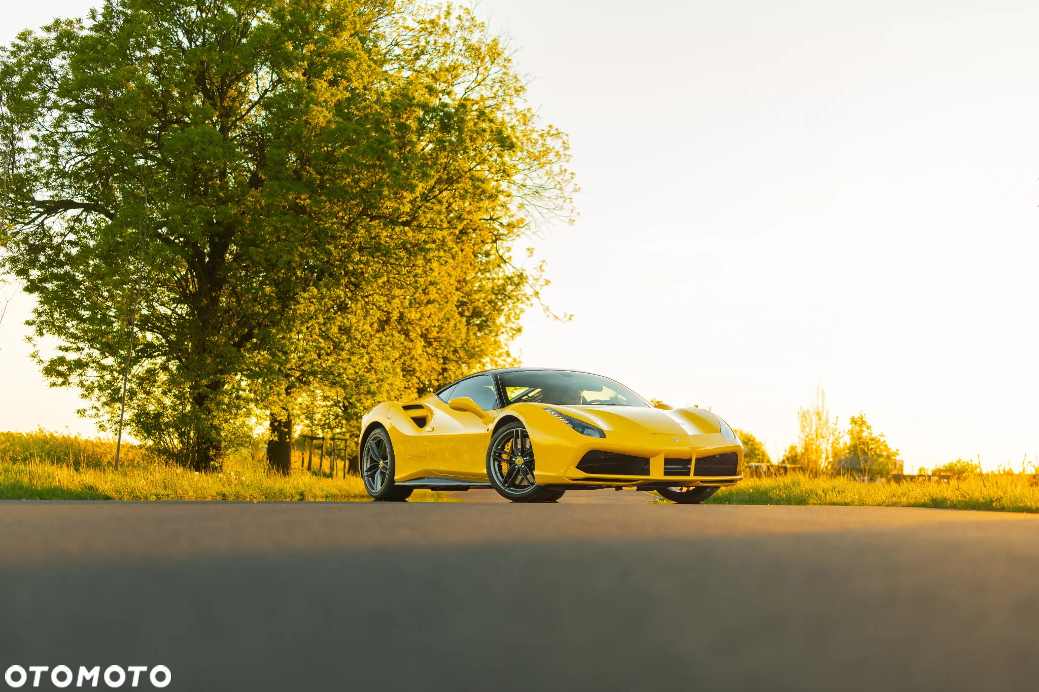 Ferrari 488 - 30