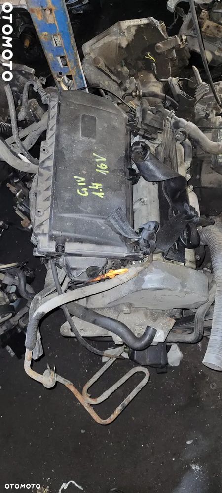 Volkswagen  Golf IV 1.4 16V  Silnik słupek