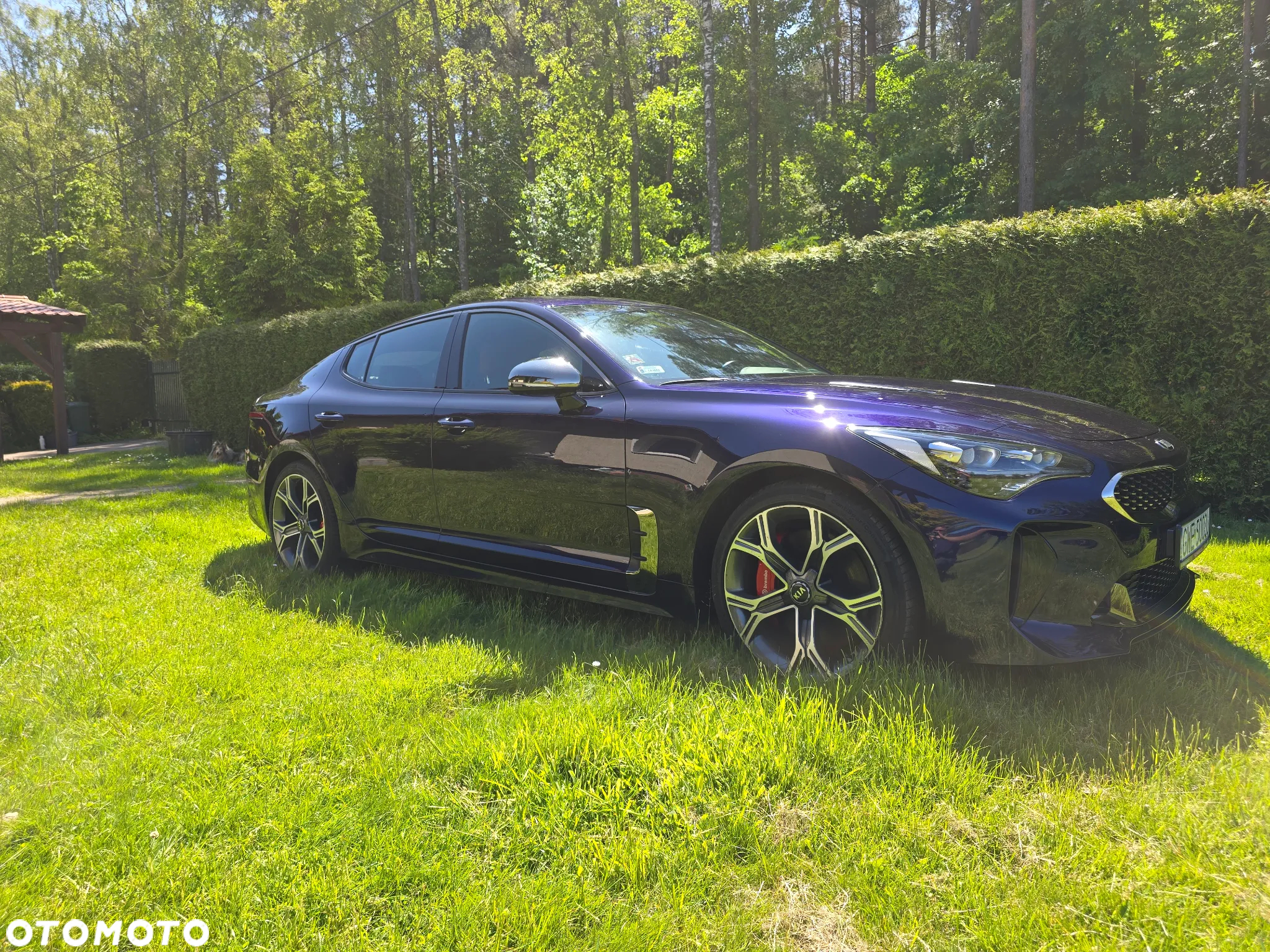 Kia Stinger 3.3 T-GDI V6 GT AWD - 4