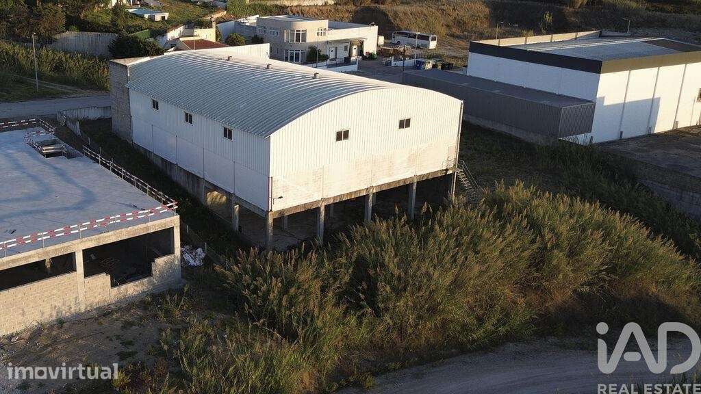 Hangar em Miragaia e Marteleira de 906,00 m2 - Grande imagem: 5/30