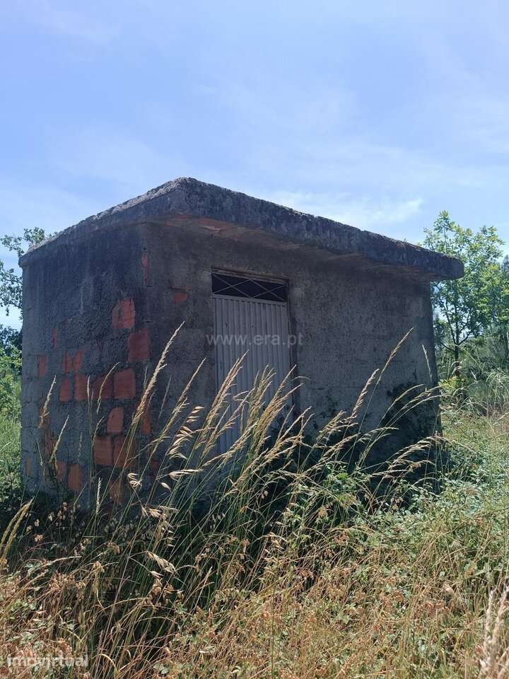 Terreno / Oliveira do Hospital, Seixo da Beira - Grande imagem: 4/12