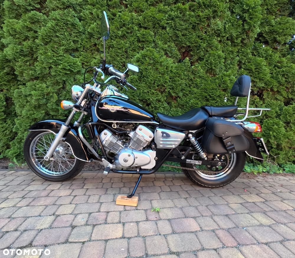 Honda Shadow - 5