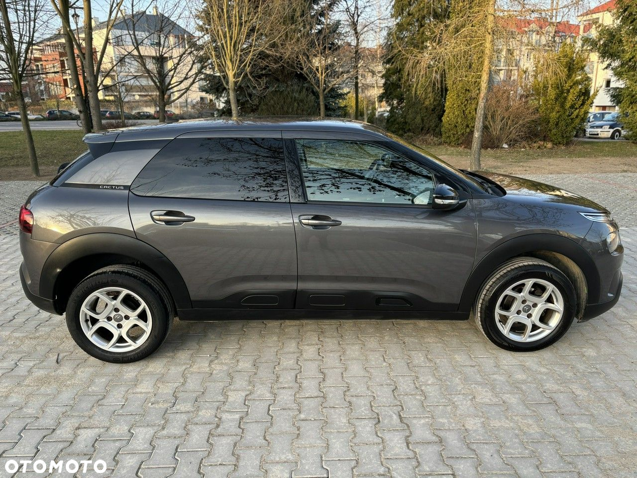 Citroën C4 Cactus - 10