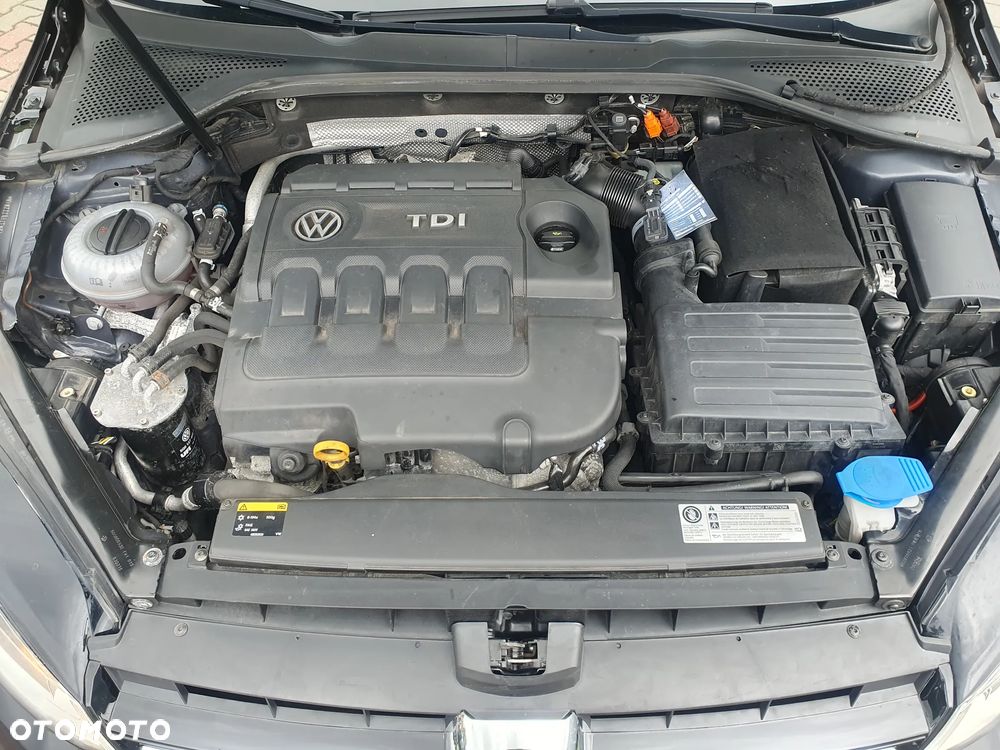 Volkswagen Golf 1.6 TDI BlueMotion Technology Cup - 11