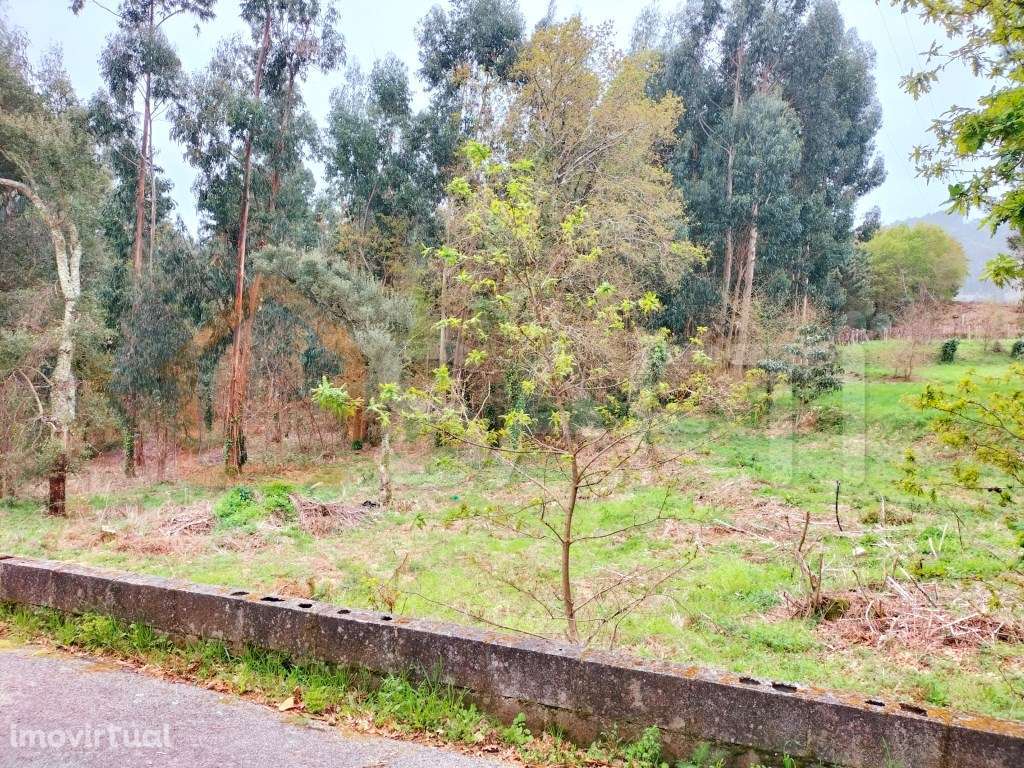 Baixa de preço - Grande imagem: 2/4