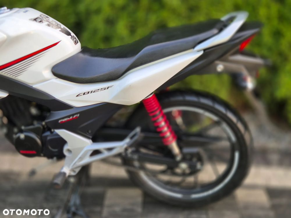 Honda CBF - 13