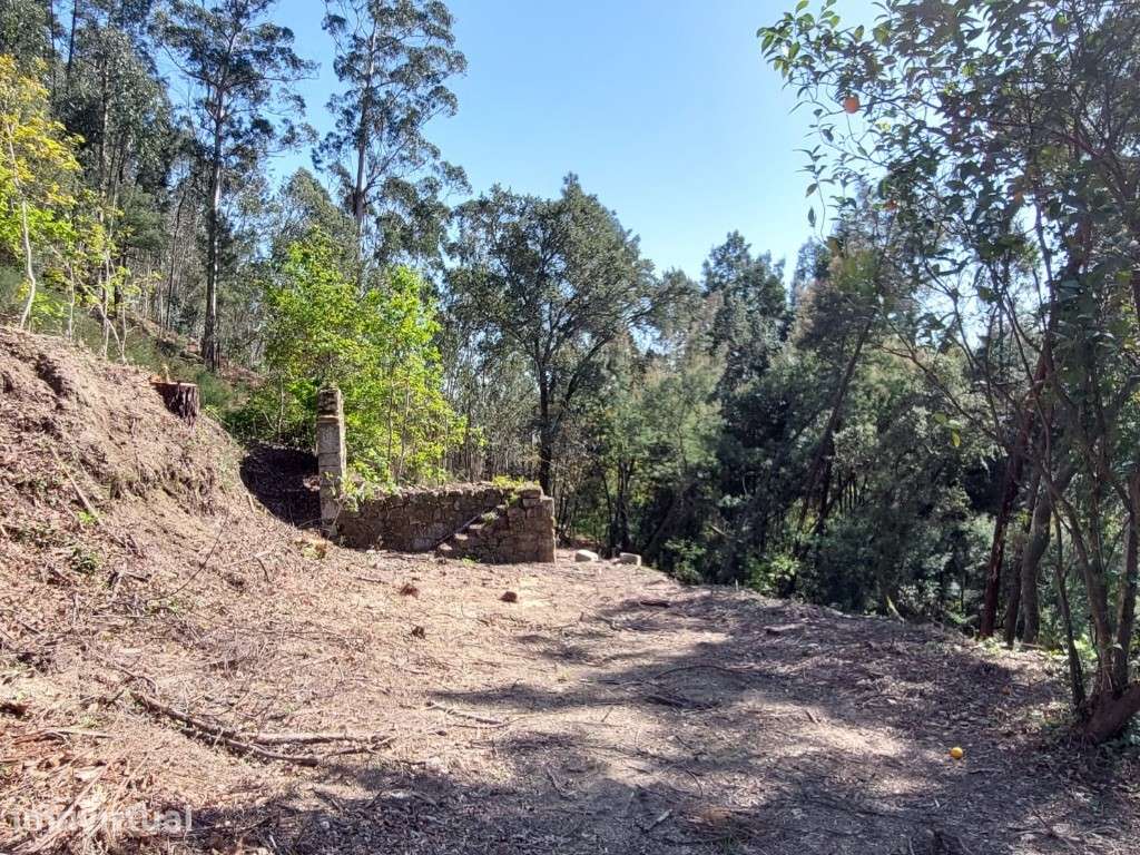 Terreno c/ Ruína em Pedra - Vilela - Grande imagem: 4/13