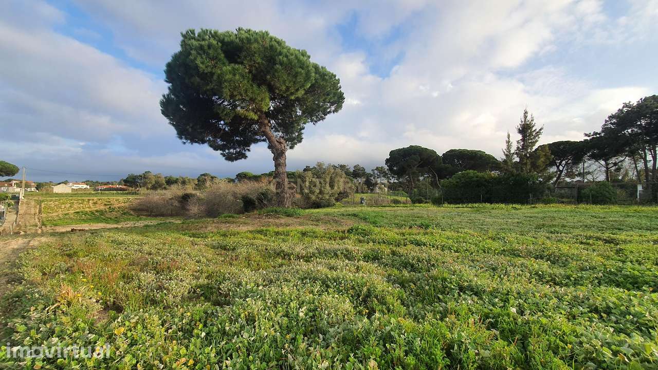 Terreno no meco para apoio agricola ou empreendimento turistico. - Grande imagem: 2/12