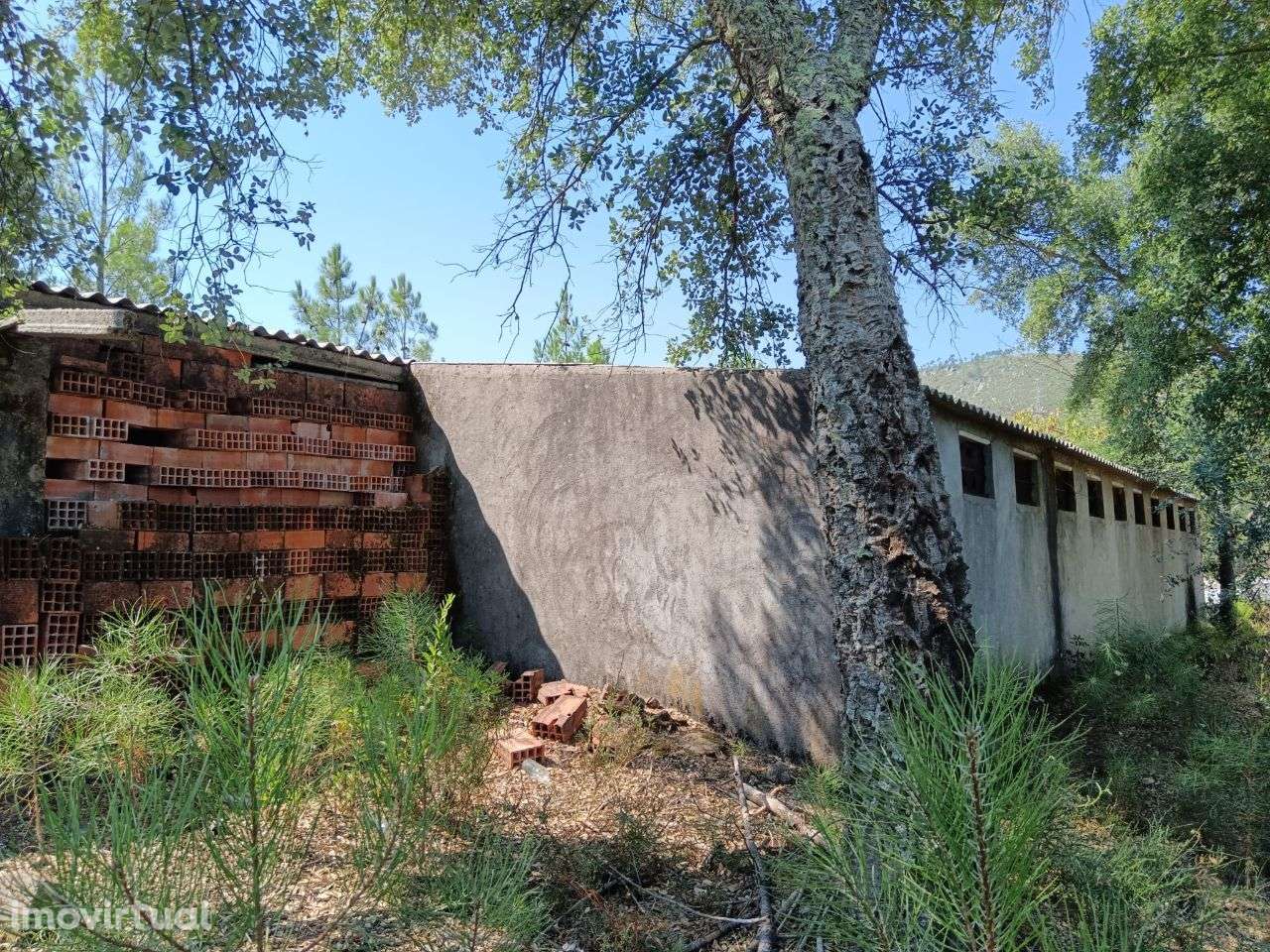 Quintinha - Grande imagem: 3/14