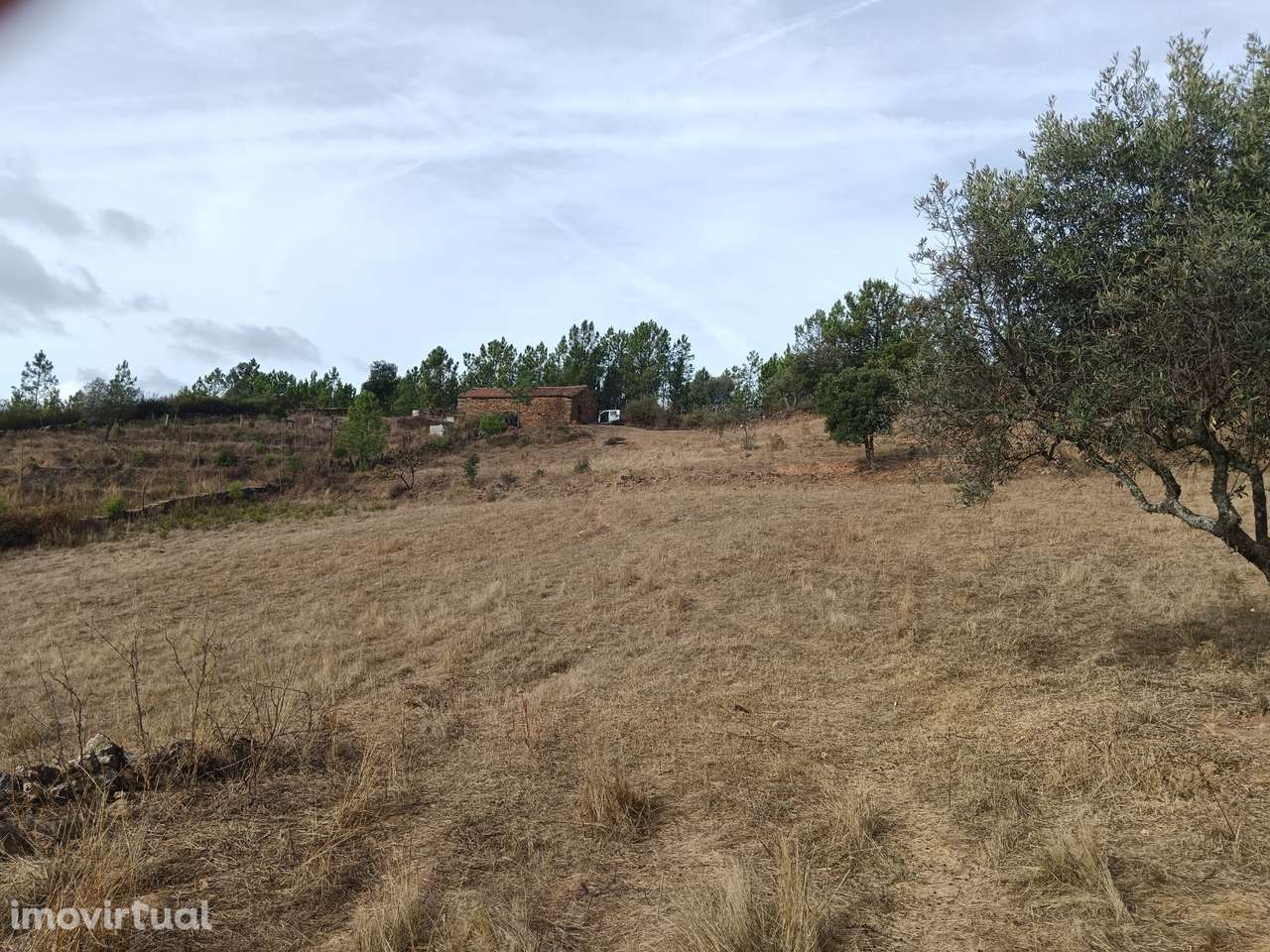 Quintinha - Grande imagem: 2/22