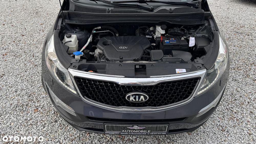 Kia Sportage - 23