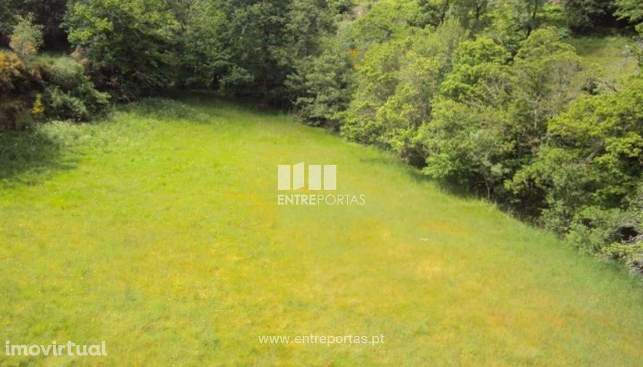 Venda Terreno, Tendais, Cinfães - Grande imagem: 2/27