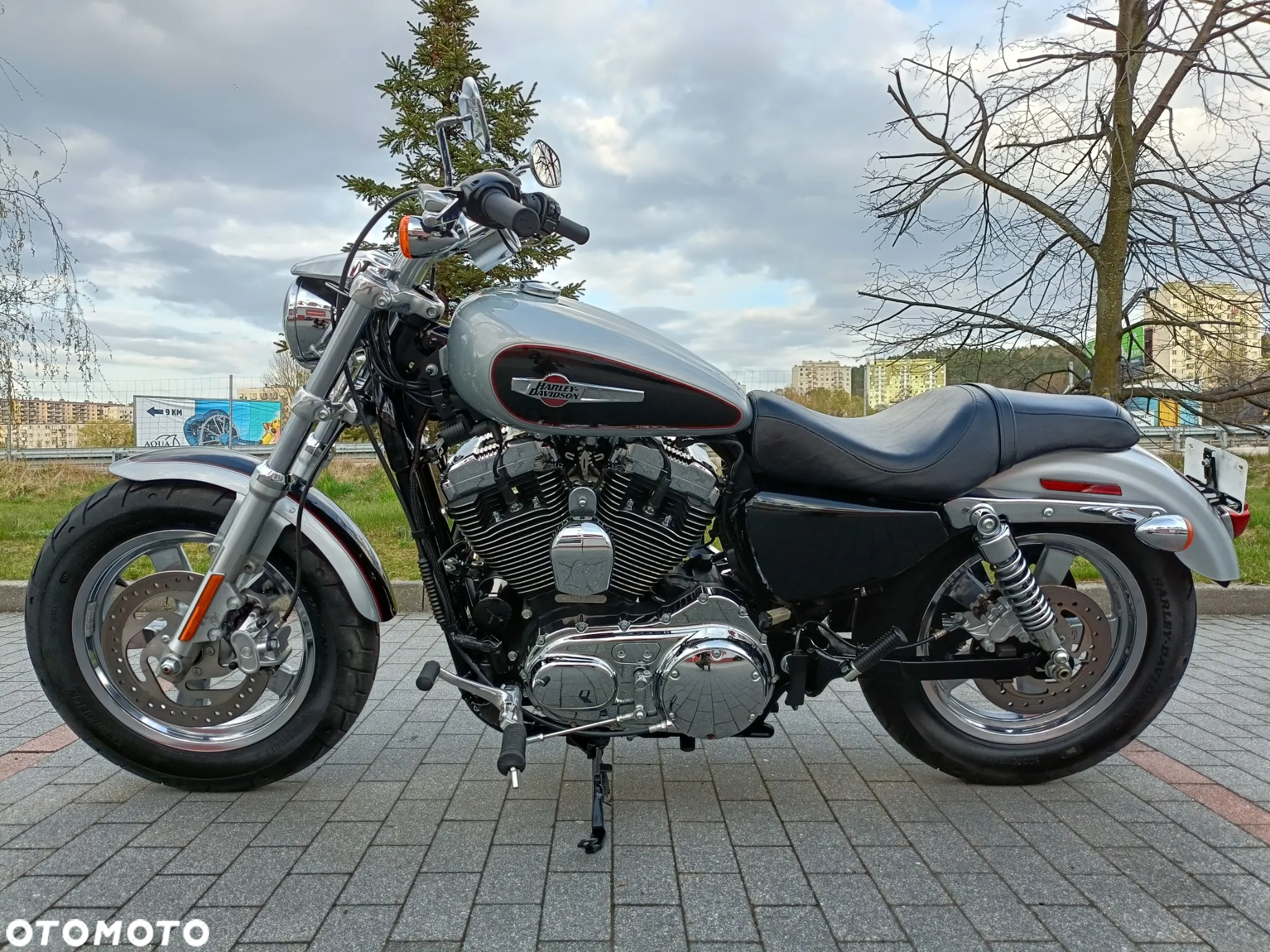 Harley-Davidson Sportster Custom 1200C - 22