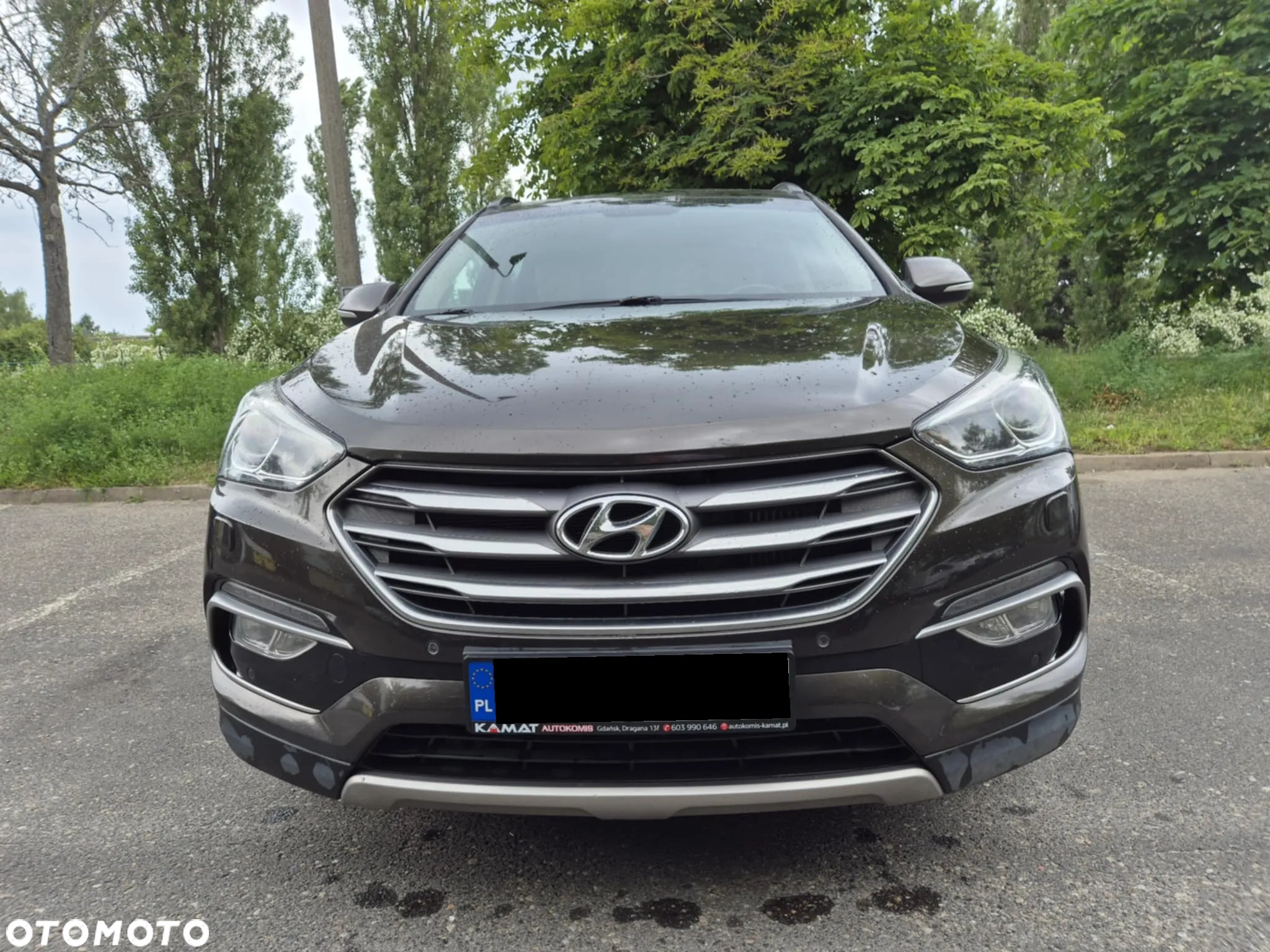 Hyundai Santa Fe 2.0 CRDi Platinum 4WD - 14