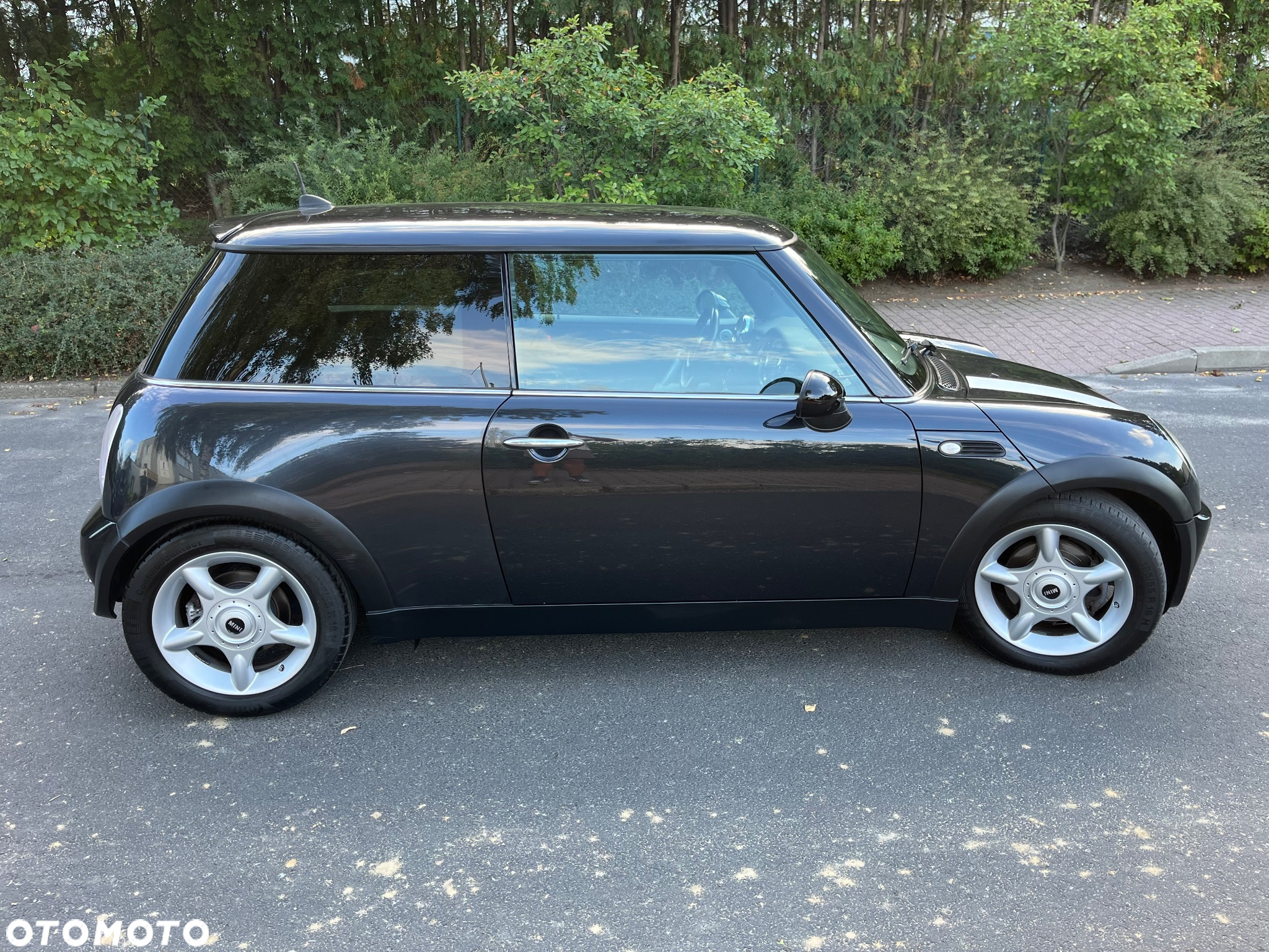MINI ONE Standard - 7