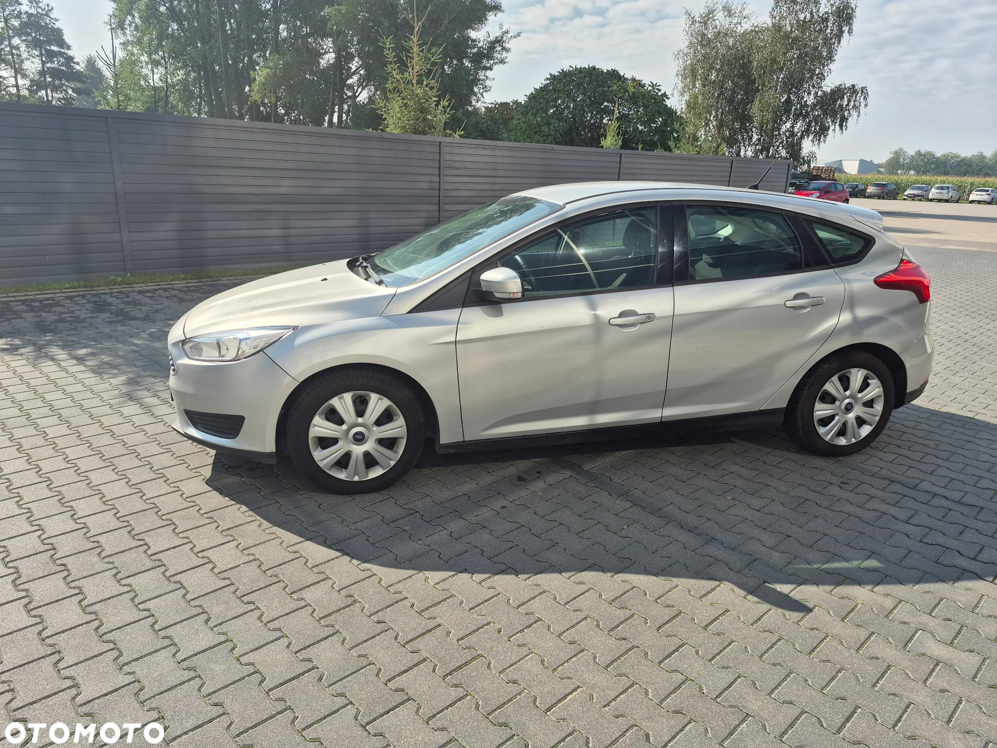 Ford Focus 1.6 Trend - 5