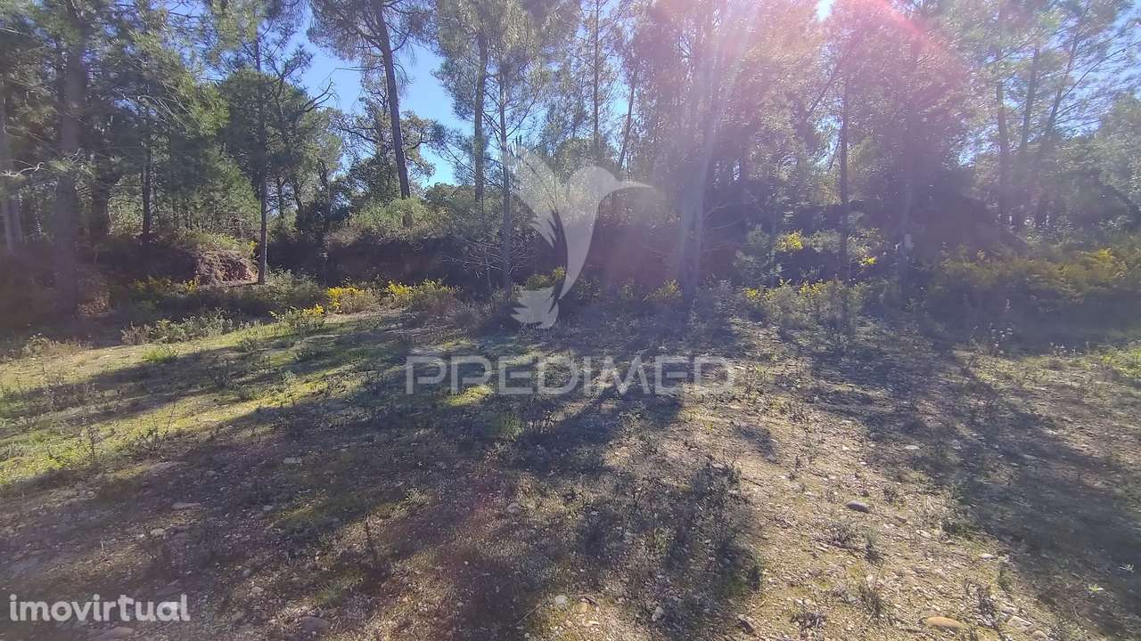 Terreno Rústico 1440 m2 - Grande imagem: 2/14