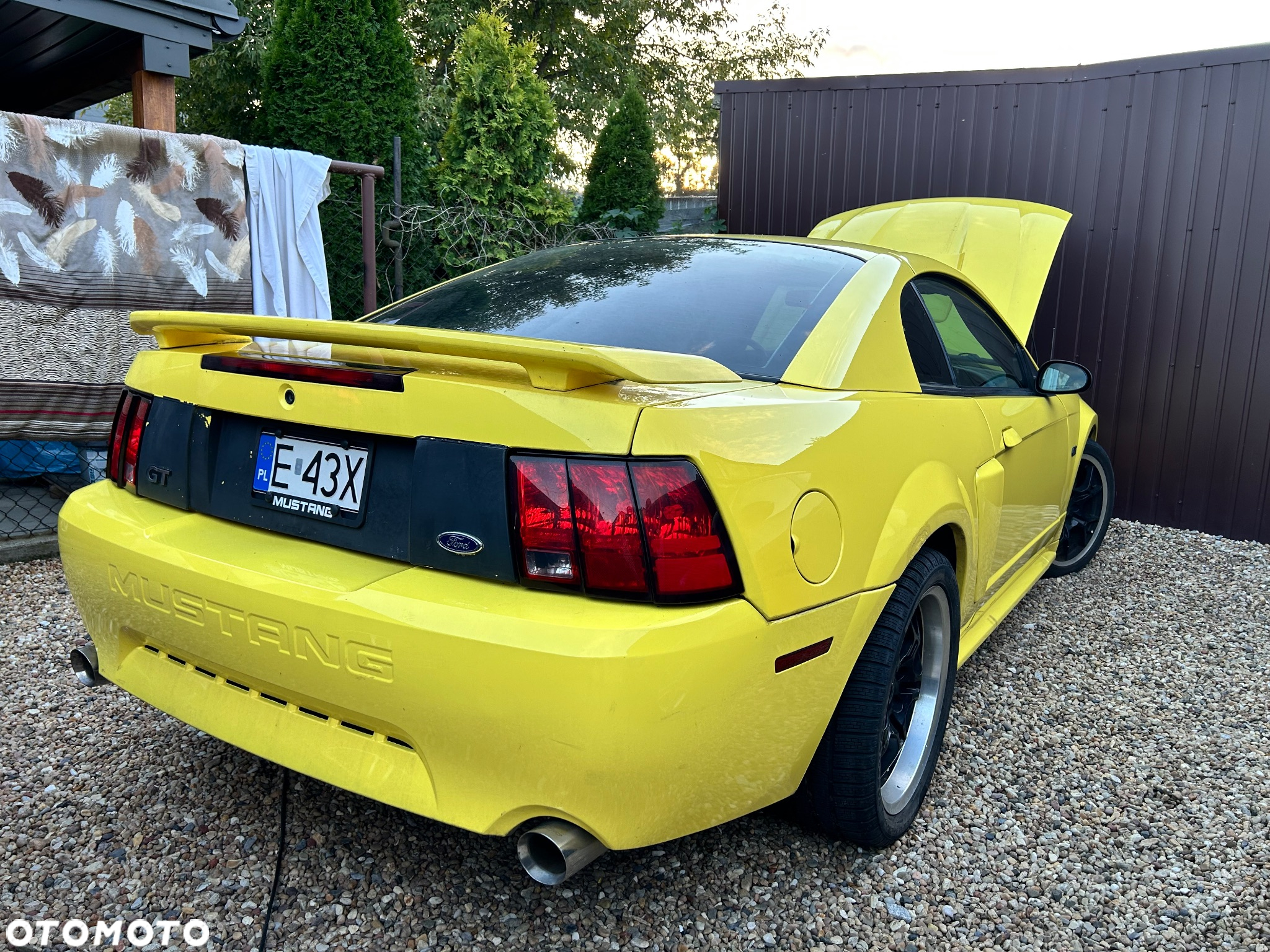 Ford Mustang - 11