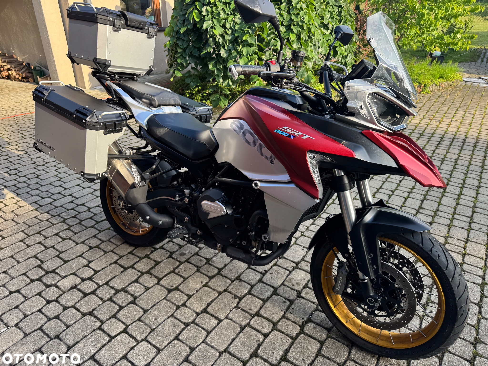 QJMOTOR SRT 800SX - 2